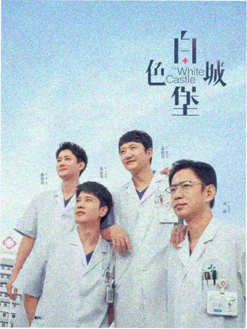雾港谜案电视剧条目封面