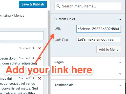 Adding Amazon Affiliate Links Wordpress